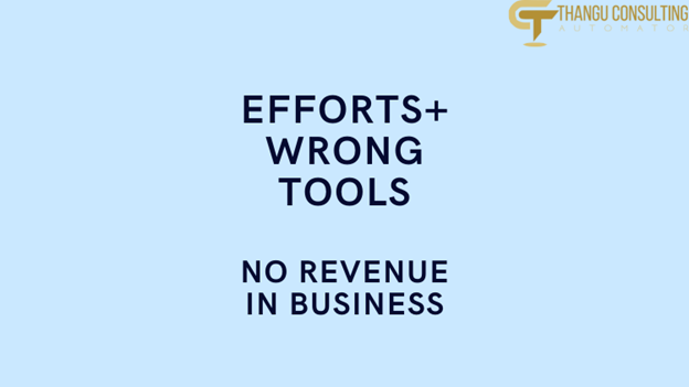 Thangu Consulting Software Business Technical Tools
